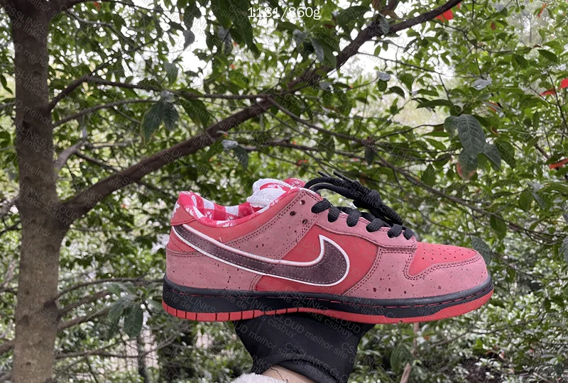 CLIENTE - Nike Dunk SB X Concept - RED LOBSTER 2
