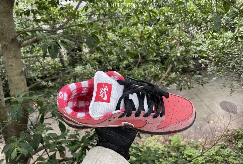 CLIENTE - Nike Dunk SB X Concept - RED LOBSTER 3