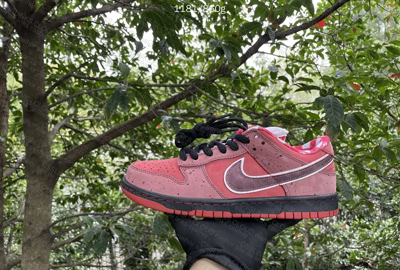 CLIENTE - Nike Dunk SB X Concept - RED LOBSTER 4