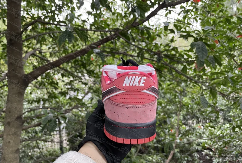 CLIENTE - Nike Dunk SB X Concept - RED LOBSTER 5