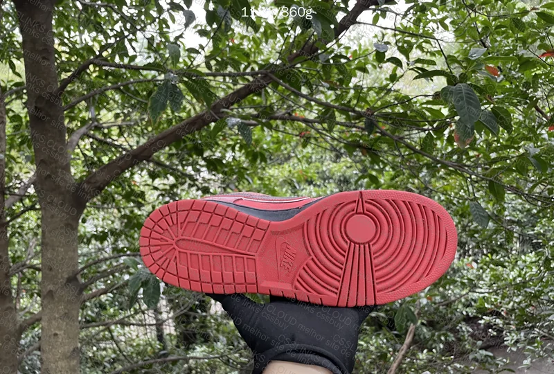 CLIENTE - Nike Dunk SB X Concept - RED LOBSTER 7