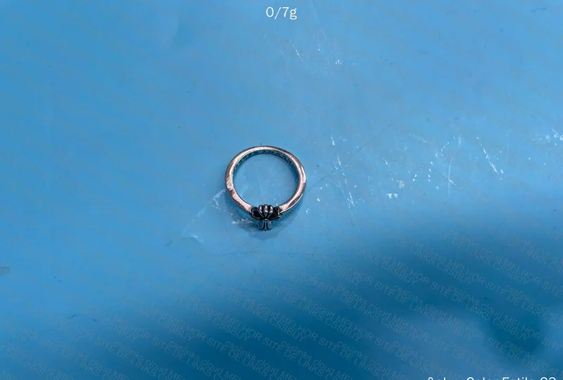 Chrome Hearts Necklace and Rings 2
