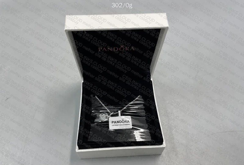 Pandora Necklace 2