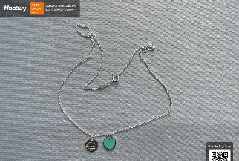 Tiffany Necklace 2