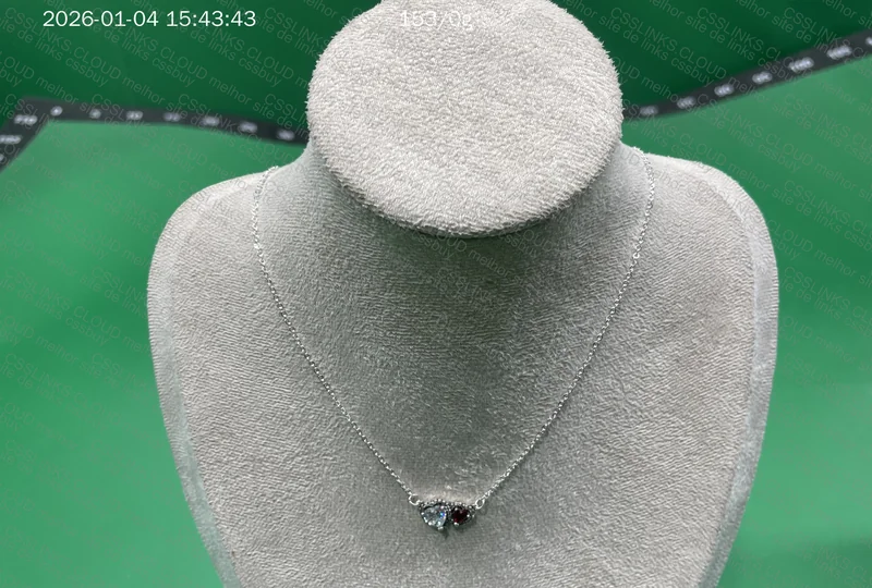 Pandora Necklace/Chain 2