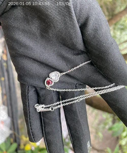 Pandora Necklace/Chain 3