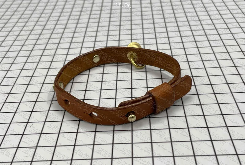 Personalized Cat Collar 3