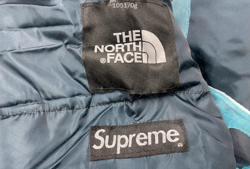 COMPENSA?? SUPREME X TNF PUFFER JACKET STATUE OF LIBERTY 6