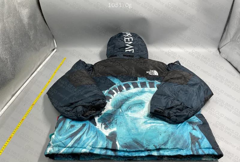 COMPENSA?? SUPREME X TNF PUFFER JACKET STATUE OF LIBERTY 8