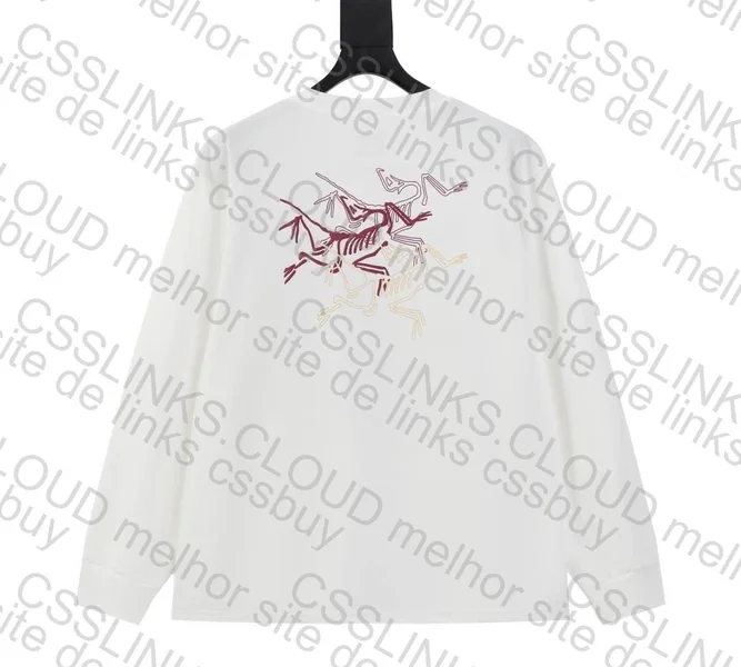 Arc'teryx long sleeve 2