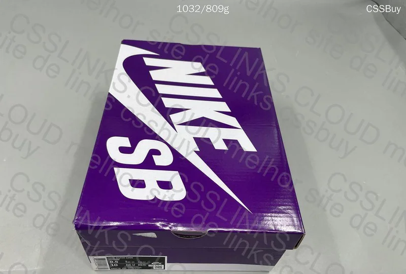 Dunk Sb low 6