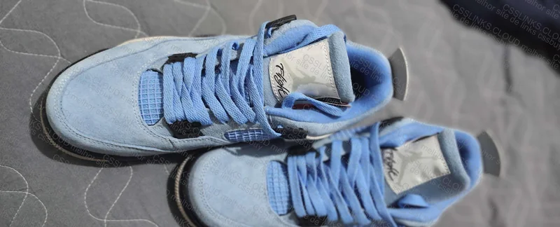 Jordan 4 Blue University 2