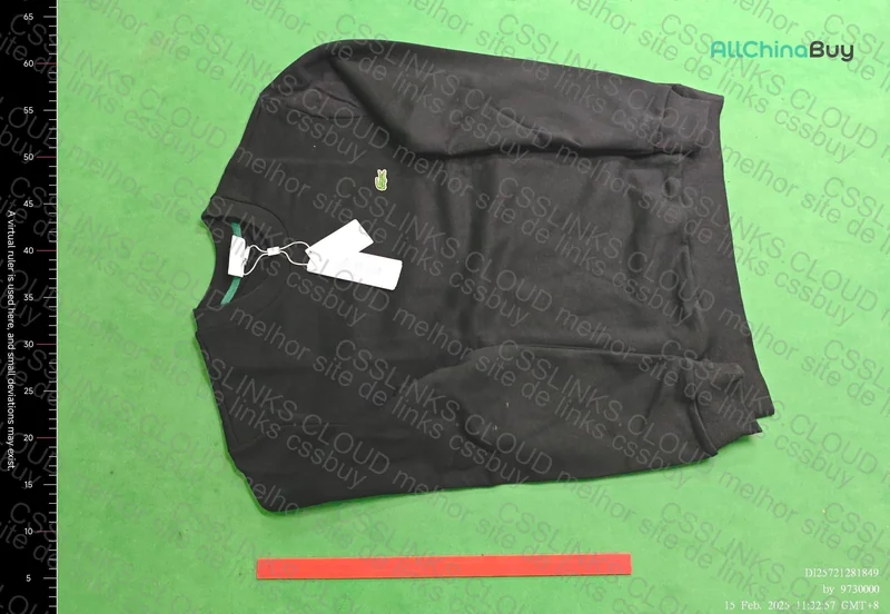 Lacoste Hoodie