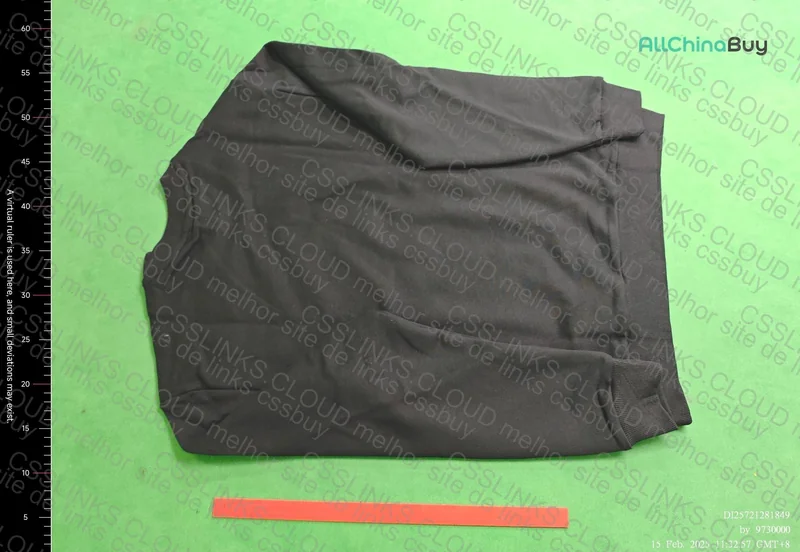 Lacoste Hoodie 2