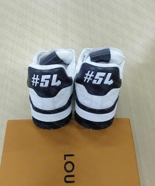 LV Trainer leather 4