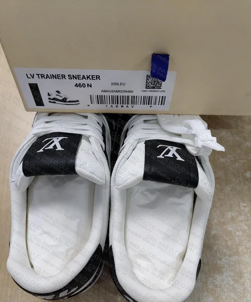 LV Trainer leather 5