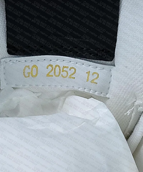 LV Trainer leather 6