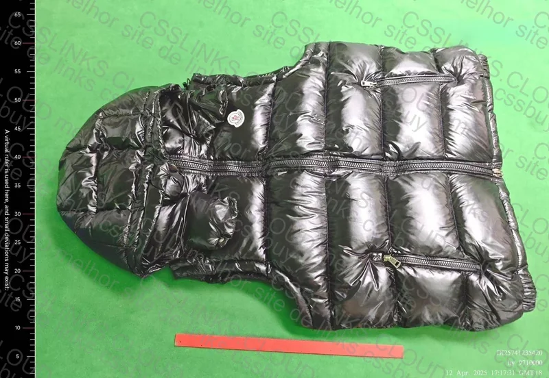 Moncler Vest 2