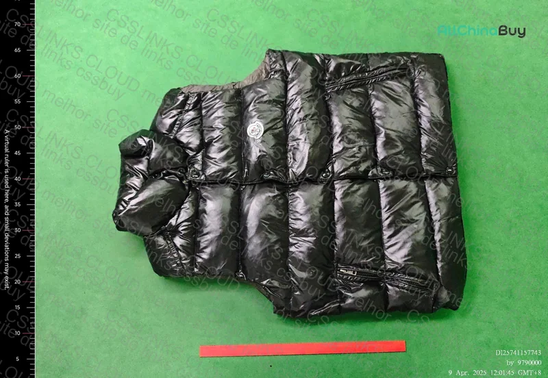 Moncler Vest 2