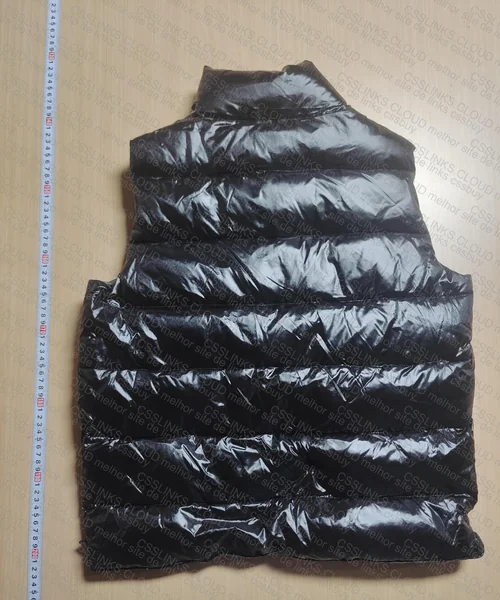Moncler Vest 2