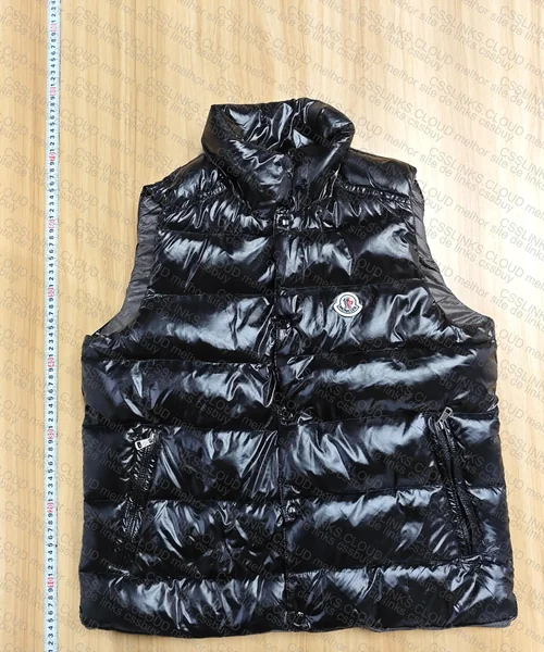 Moncler Vest 4