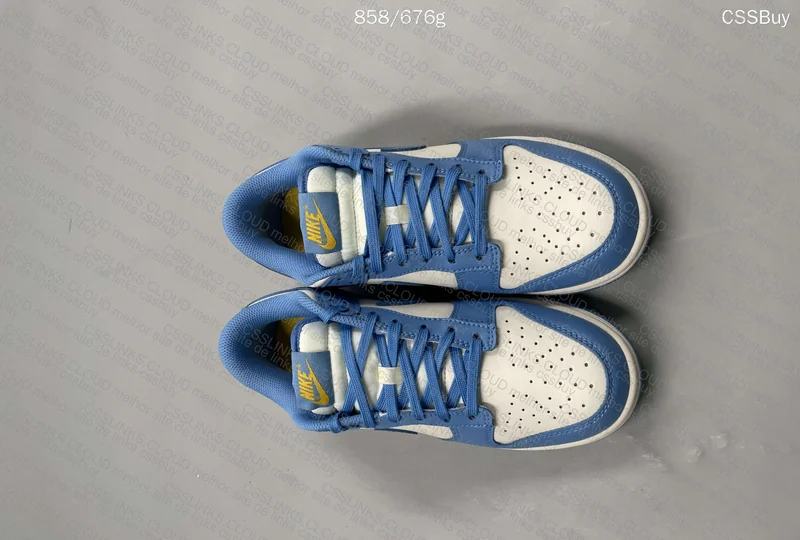 NIKE DUNK LOW COAST 5