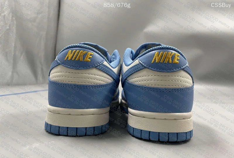 NIKE DUNK LOW COAST 6