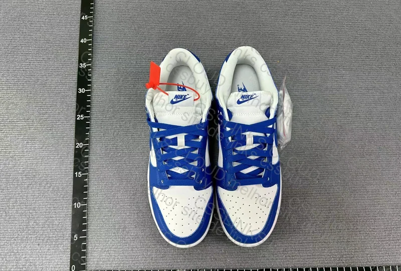 Nike Dunk Low "Kentucky" Blue 2