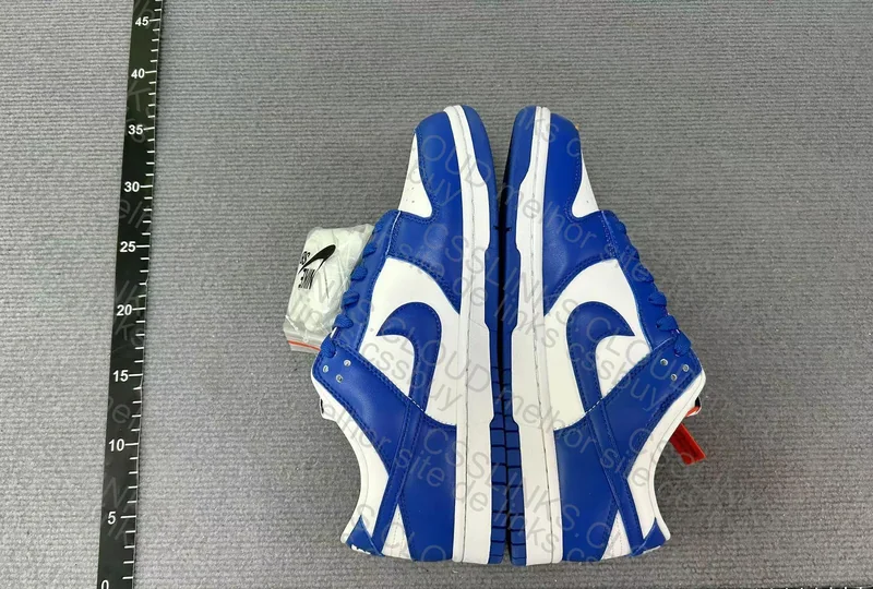 Nike Dunk Low "Kentucky" Blue 4
