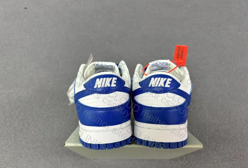 Nike Dunk Low "Kentucky" Blue 5