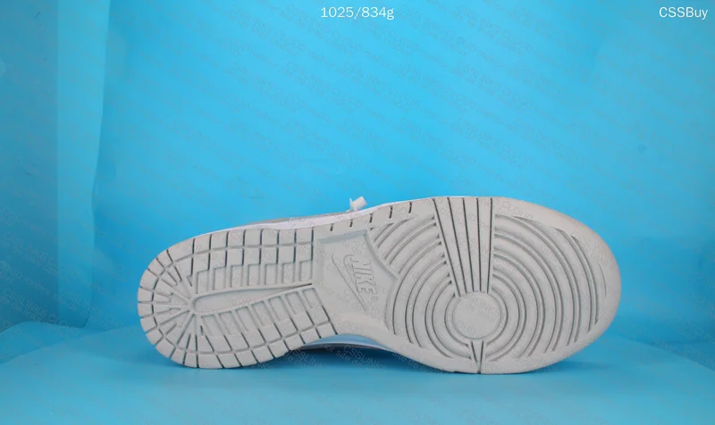 Nike Dunk Low Retro Grey Fog 10