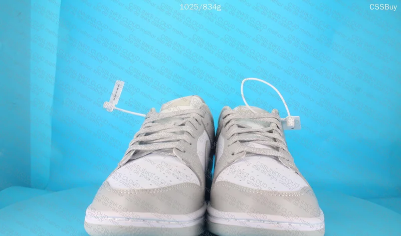 Nike Dunk Low Retro Grey Fog 4