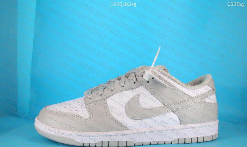 Nike Dunk Low Retro Grey Fog 6