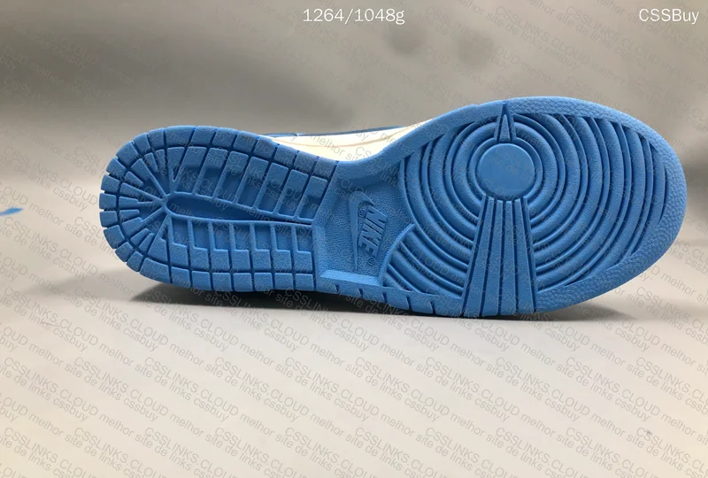 Nike Dunk Low SP Coast (GL?)