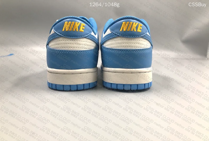 Nike Dunk Low SP Coast (GL?) 2