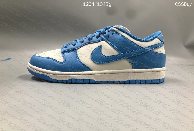 Nike Dunk Low SP Coast (GL?) 3