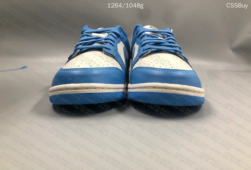 Nike Dunk Low SP Coast (GL?) 4