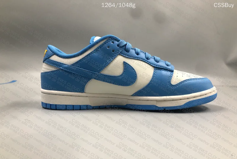 Nike Dunk Low SP Coast (GL?) 5