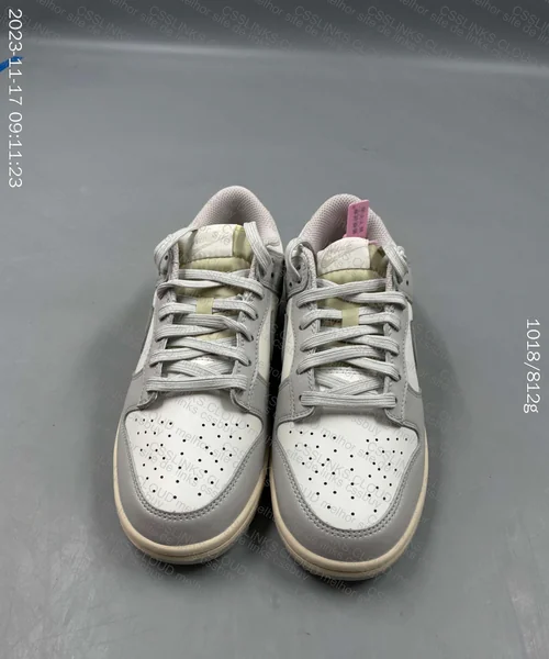 NK Dunk Low