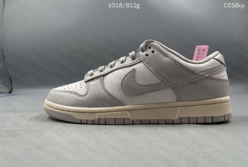 NK Dunk Low 5