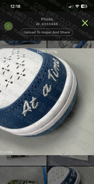 SB Dunk Low Born x Raised ( ajudem ) 8
