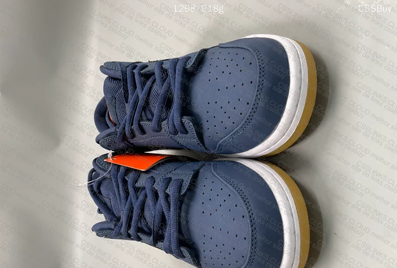 SB Dunk Low Pro ISO 2