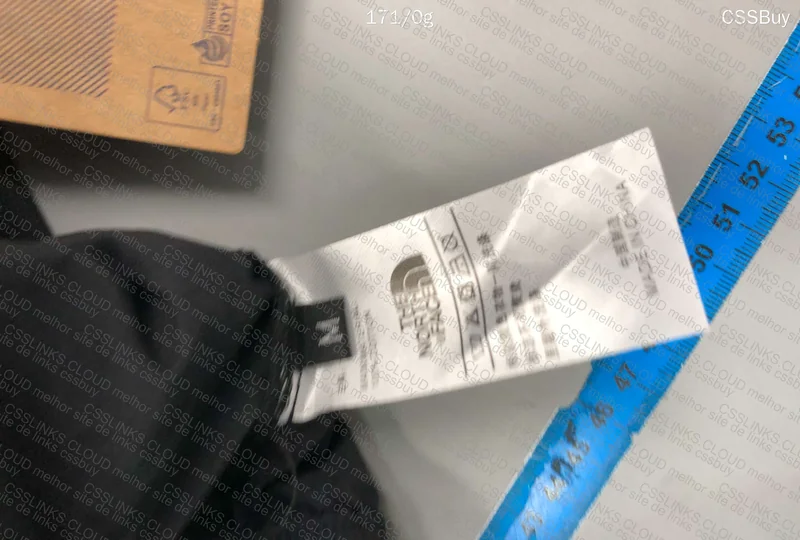 shorts the north face 3