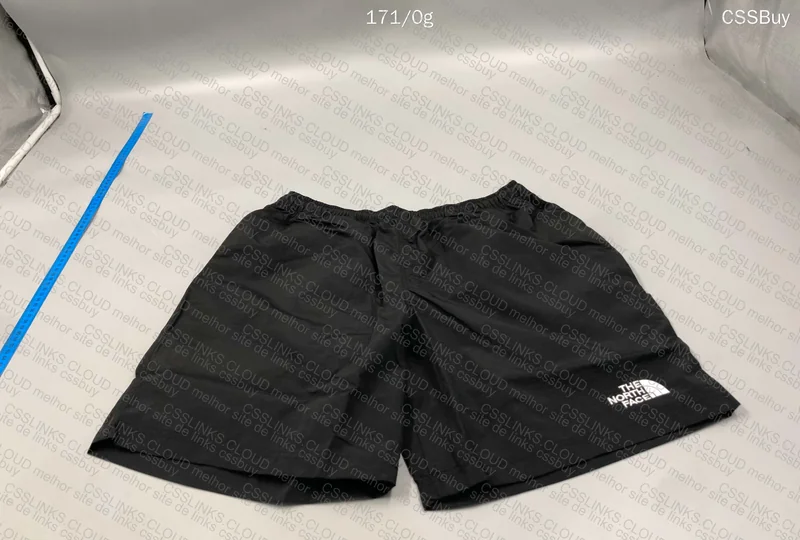 shorts the north face 4