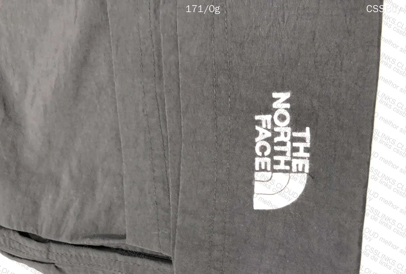 shorts the north face 6