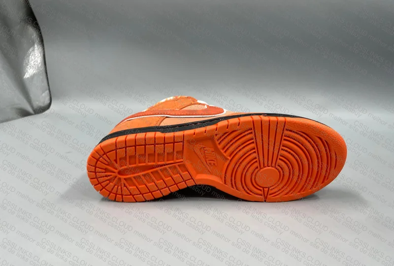 Concepts x Nike SB Dunk Low Orange Lobster 6