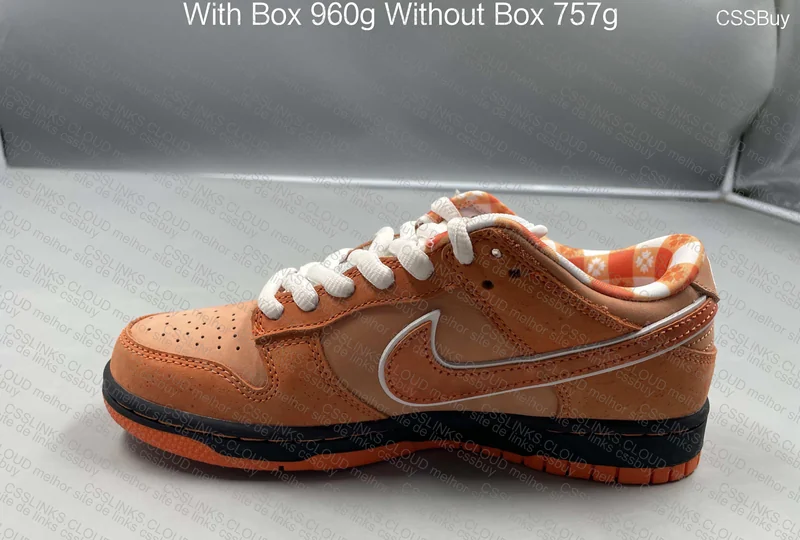 Concepts X Nike SB Dunk Low Orange PK 2