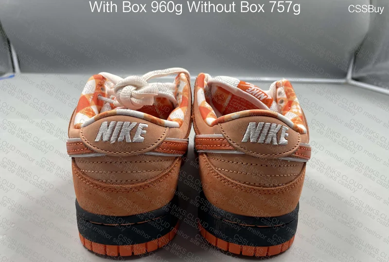 Concepts X Nike SB Dunk Low Orange PK 4