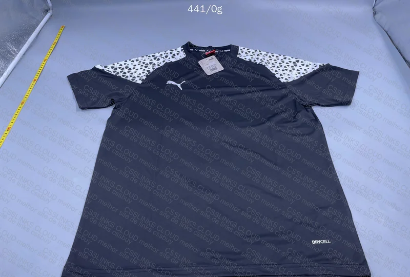 Puma Training Set Shirt + Shorts 2