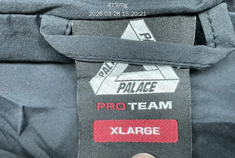 Conjunto Palace pro team - Sale Dragon 2